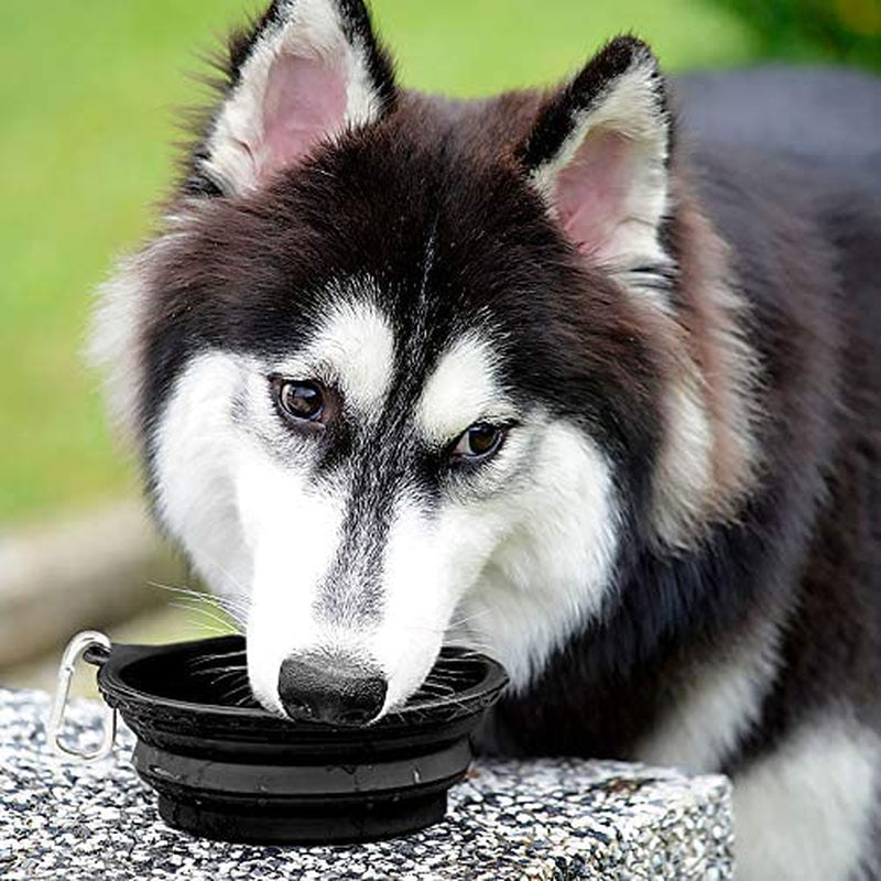Large Collapsible Dog Bowls 2 Pack, 34Oz Foldable Dog Travel Bowl, Portable Pet Water Food Bowl with Clasp, Pet Cat Feeding Cup Dish for Traveling, Walking, Hiking (Black+Black)